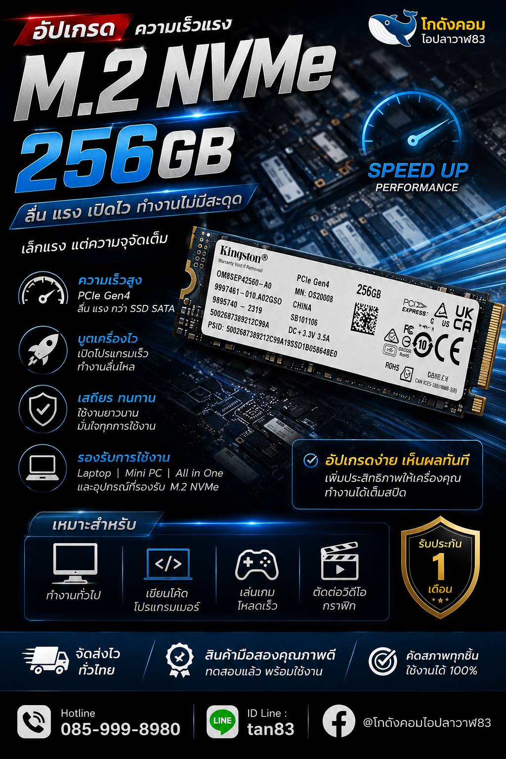 SSD M.2 NVMe 256GB (Kingston)
